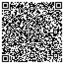 QR code with Public Solutions Inc contacts