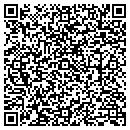 QR code with Precision Link contacts
