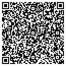 QR code with Consumer Pulse contacts