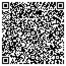 QR code with Cyber Scientific Inc contacts
