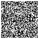 QR code with Cybersoft Solutions contacts