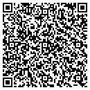 QR code with Public Storage contacts