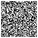 QR code with Collection Connectin contacts