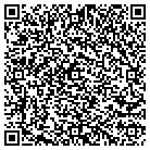 QR code with Chesepeake Data Solutions contacts