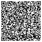 QR code with Chestertown Orthopedics contacts