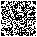 QR code with Chameleon Technology contacts