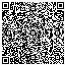 QR code with Carpet Works contacts