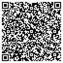 QR code with Camelback Systems Inc contacts