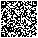 QR code with Signius contacts