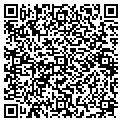 QR code with Modis contacts