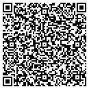 QR code with Pyramid Atlantic contacts