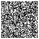 QR code with Public Manager contacts