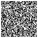 QR code with Progressive Images contacts