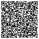 QR code with Carvedstone Design contacts