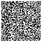 QR code with Publishing Connections Inc contacts