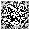 QR code with Locher contacts