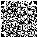 QR code with Prismic Publishing contacts