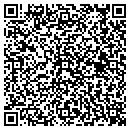 QR code with Pump It Up Of Tempe contacts