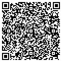 QR code with Pace Co contacts
