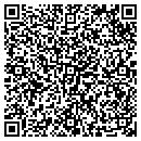 QR code with Puzzles For Hair contacts