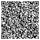 QR code with Chesapeake Med Link contacts