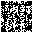QR code with Chesapeake Services contacts