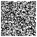 QR code with Public Storage contacts