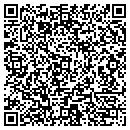 QR code with Pro Web Service contacts