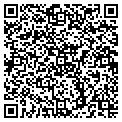 QR code with Shell contacts