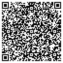 QR code with C & I Paintworks LLC contacts