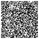QR code with Pulau Electronics Corp contacts
