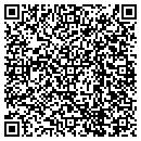 QR code with C N'v Corvette Sales contacts