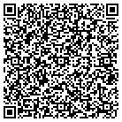 QR code with Pulsescan Technologies contacts