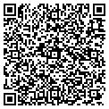 QR code with P C MD contacts