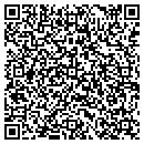 QR code with Premier Taxi contacts