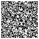 QR code with Pulaski Citgo contacts