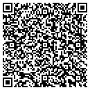 QR code with C Grimaldis Gallery contacts