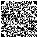 QR code with Carter Contracting Inc contacts