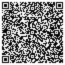 QR code with Camelio Contractors contacts