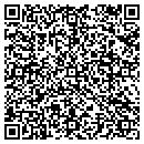 QR code with Pulp Communications contacts