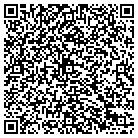 QR code with Pulaski Veterinary Clinic contacts