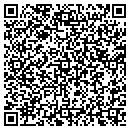 QR code with C & S Audio Labs Inc contacts
