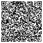 QR code with Baldwin Home Improvements contacts