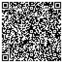 QR code with Primary Consultants contacts