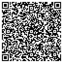 QR code with Pulse Components contacts