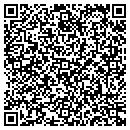 QR code with PVA Consulting Group contacts