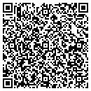 QR code with Prism Automobile Inc contacts