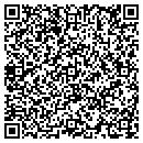 QR code with Colonial Pipeline Co contacts