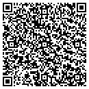 QR code with Professor Computer contacts