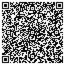 QR code with Pulse Board Shop contacts
